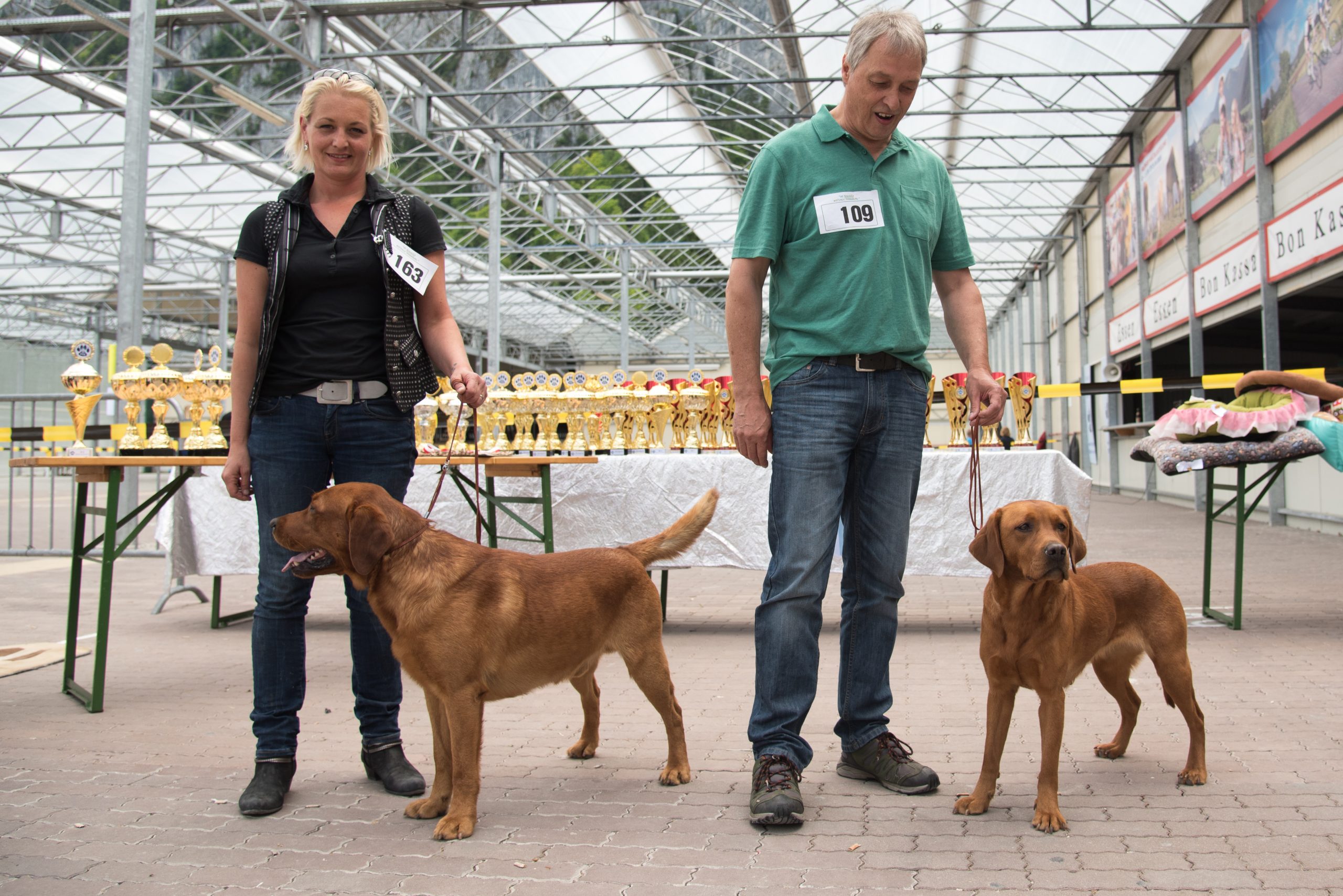 Hundeschau Ebbs Labradorzucht Foxred